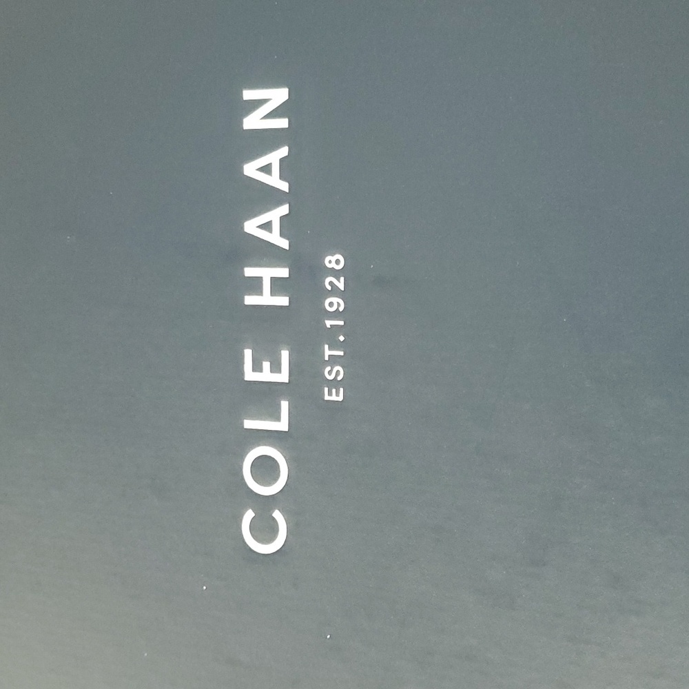 Cole Haan Zerogrand hiking boot - Picture 2 of 11